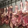 China encontra rastros de coronavírus em carne congelada procedente do Brasil
