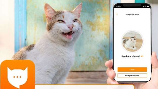 O app que promete traduzir o miado do seu gato