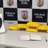 POLÍCIA CIVIL PRENDE HOMEM TRANSPORTANDO SEIS QUILOS DE CRACK EM MICROÔNIBUS DE TRANSPORTE INTERESTADUAL