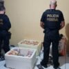 PF apura prática de crime eleitoral no Maranhão