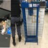 Polícia Militar de Presidente Dutra prende indivíduo no povoado Patioba e aprende uma estrutura para refino e prensagem de entorpecentes