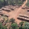 Polícia Federal faz apreensão histórica de madeira na divisa dos estados do Pará e do Amazonas