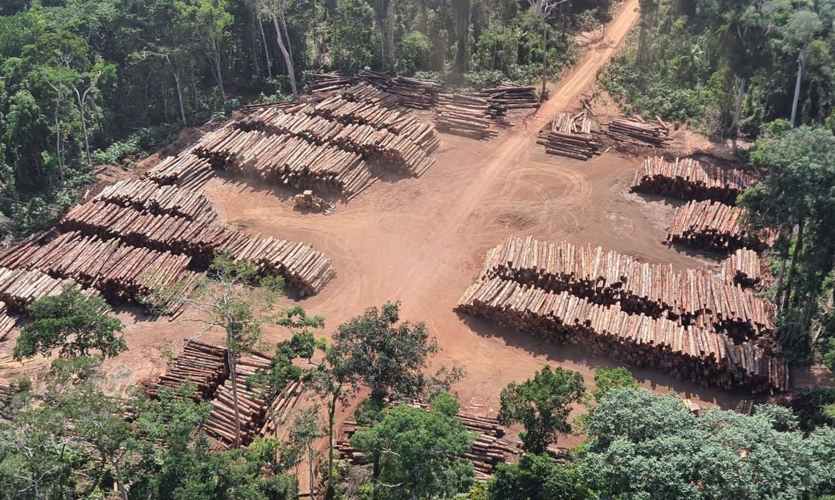 Polícia Federal faz apreensão histórica de madeira na divisa dos estados do Pará e do Amazonas