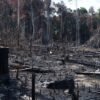 AGU comemora resultados da Força-Tarefa em Defesa da Amazônia
