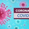 Boletim epidemiológico, Gonçalves Dias- MA