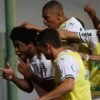 Palmeiras vence o América em Minas e é finalista da Copa do Brasil