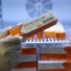 Maranhão deve receber mais de 71 mil doses da Corona Vac neste fim de semana