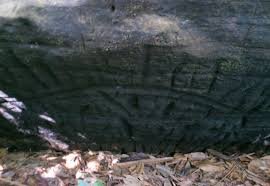 Turma  de geografia da UEMA, polo  de Dom Pedro pesquisa imagens rupestres em Gonçalves Dias