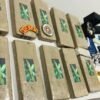 POLÍCIA MILITAR APREENDE 15KG DE MACONHA NA ENTRADA DE SÃO LUÍS