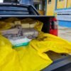 PRF apreende veículo mais de 200 kg de queijo sem documentação em Caxias -MA