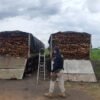 PRF apreende 250m³ de madeira nativa durante Operação Ambiental II no Maranhão