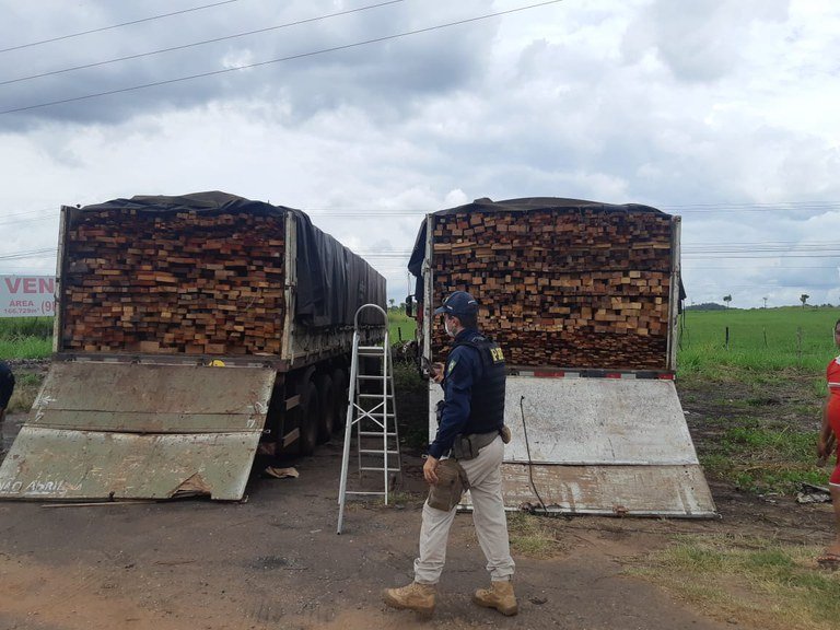 PRF apreende 250m³ de madeira nativa durante Operação Ambiental II no Maranhão