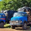 Carga ilegal de madeira é apreendida em dois caminhões na , em Caxias