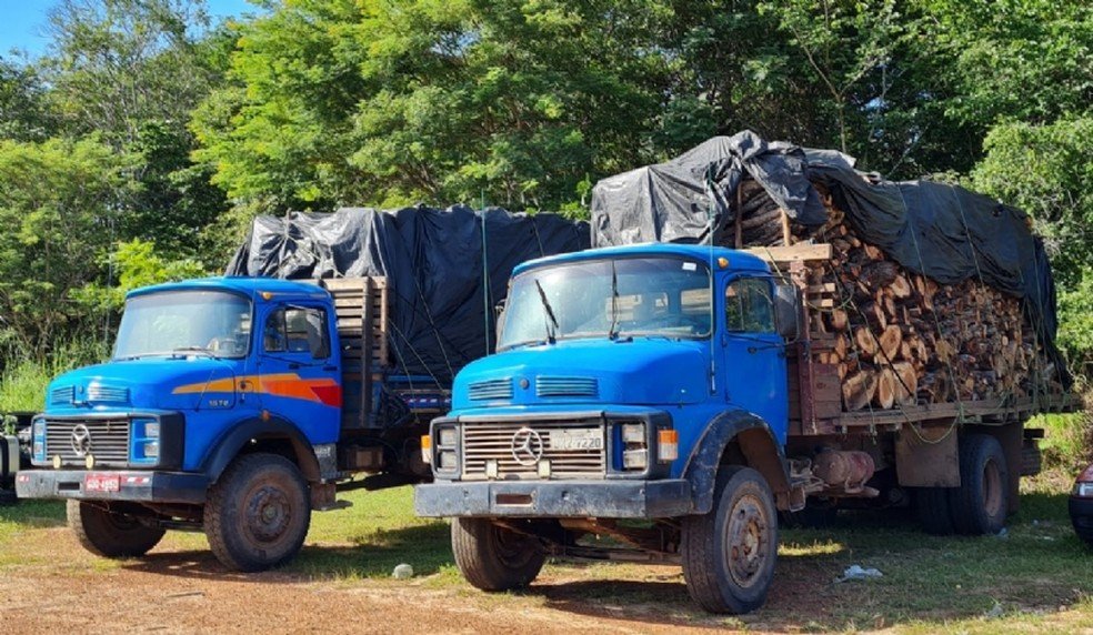Carga ilegal de madeira é apreendida em dois caminhões na , em Caxias