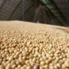 Preço dos principais produtos agropecuários sobe no primeiro trimestre