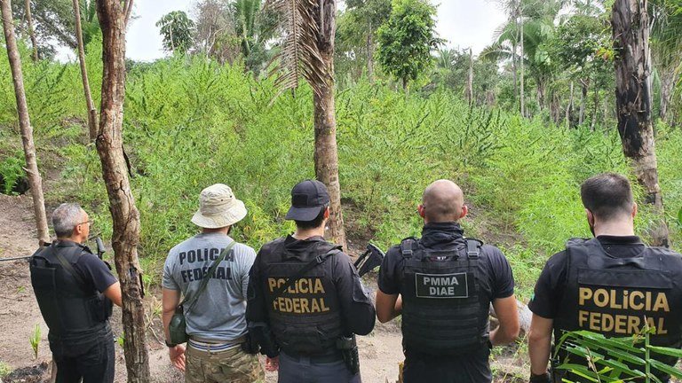 PF e PM/MA realizam operação conjunta de combate ao tráfico de drogas em Caxias – MA