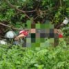 Homem é encontrado morto com pés e mãos amarrados em São Luís