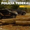Operação Embaúba II fecha serrarias clandestinas em área indígena no Pará