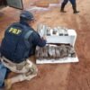 PRF apreende 26kg de maconha na BR-135, na entrada de São Luís