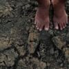 Piauí – cinquenta cidades do semiárido estão em situação de emergência com a seca