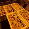 PRF apreende 400kg de frango transportado ilegalmente na BR-010