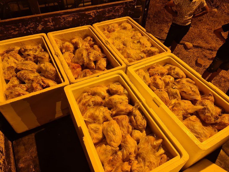 PRF apreende 400kg de frango transportado ilegalmente na BR-010
