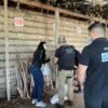 POLÍCIA CIVIL INCINERA QUASE 15 QUILOS DROGAS EM COROATÁ