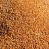Conab: Brasil deve produzir 289,9 milhões de grãos no ciclo 2021/2022