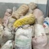 300 KG DE MACONHA