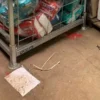 Homem negro é torturado em supermercado após suspeita de furto no Maranhão