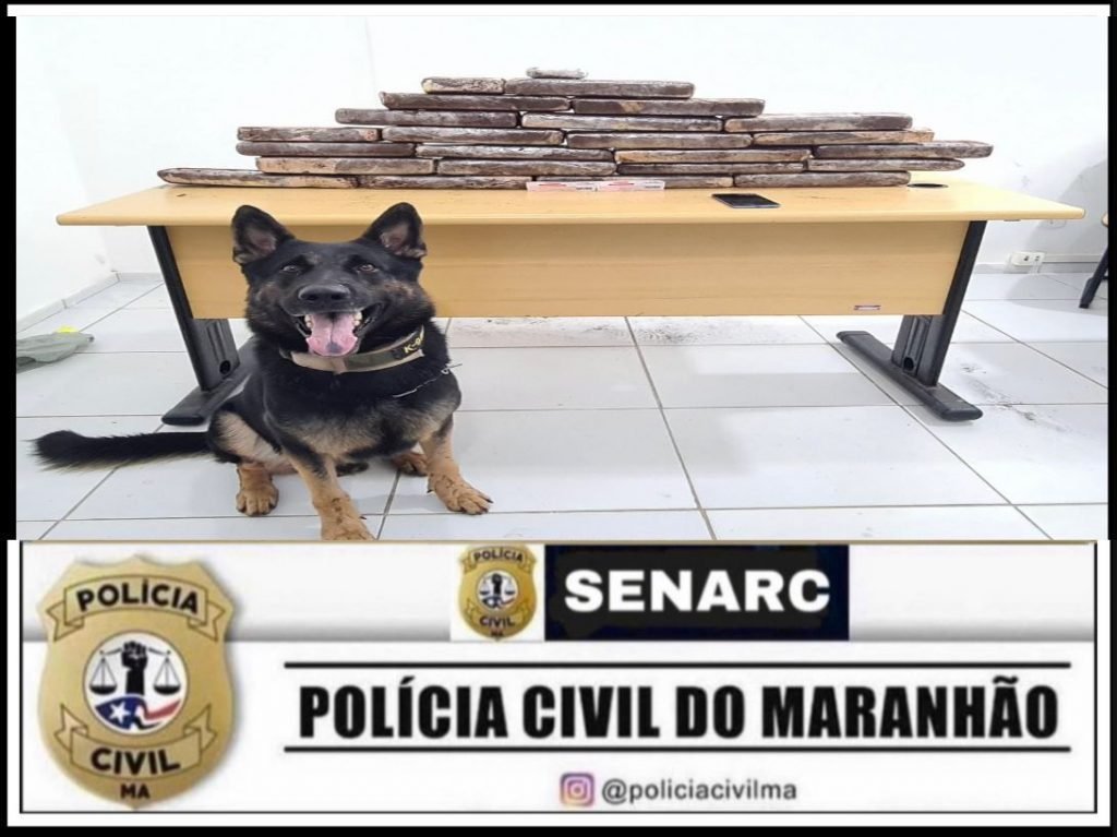 POLÍCIA CIVIL PRENDE DUAS MULHERES TRANSPORTANDO 22KG DE MACONHA