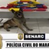 POLÍCIA CIVIL PRENDE ACUSADO COM DROGA  EM PERITORÓ/MA