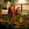 Equipes dos bombeiros procuram por nove pessoas soterradas em Angra