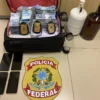 Estrangeiros são presos pela Polícia Federal com R$ 448 mil em notas falsas em São Luís