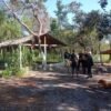 Fiscalização flagra condições análogas às de escravo em carvoaria em Balsas