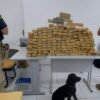 POLÍCIA CIVIL, COM APOIO DA PRF, REALIZA A PRISÃO DE QUATRO PESSOAS QUE TRANSPORTAVAM MAIS DE 154 QUILOS DE MACONHA