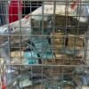 Delegada é presa no Rio de Janeiro com quase R$ 2 milhões em sua residência