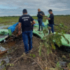 Avião agrícola cai na zona rural de Arari e piloto morre