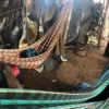 Na zona rural de Mirador – MA, trabalhadores são resgatados em situação análoga a de esacravo