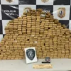 Polícia Civil apreende 300 tabletes de maconha em São José de Ribamar