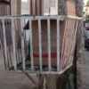 Feto é encontrado dentro de uma lixeira em São Luis