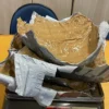 Ao desembarcar no aeroporto de São Luís homem é preso com 7 kilos de cocaína
