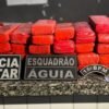 PMMA APREENDE GRANDE QUANTIDADE DE ENTORPECENTES NA CIDADE DE BACABAL