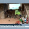 Maioria dos trabalhadores resgatados em situação análoga à escravidão no país é formada por maranhenses; número chega a mais de 8 mil