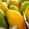 Governo prorroga prazo para cadastro na Agricultura Familiar