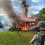 STF rejeita lei de Roraima que proíbe destruição de bens apreendidos