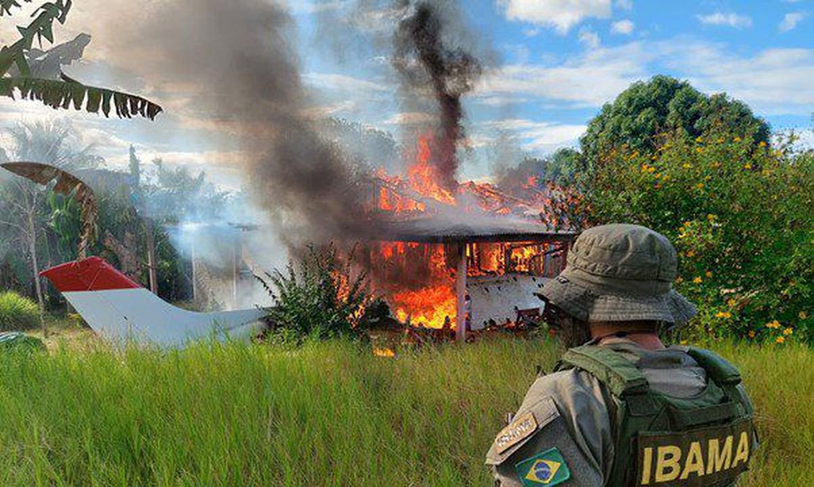 STF rejeita lei de Roraima que proíbe destruição de bens apreendidos