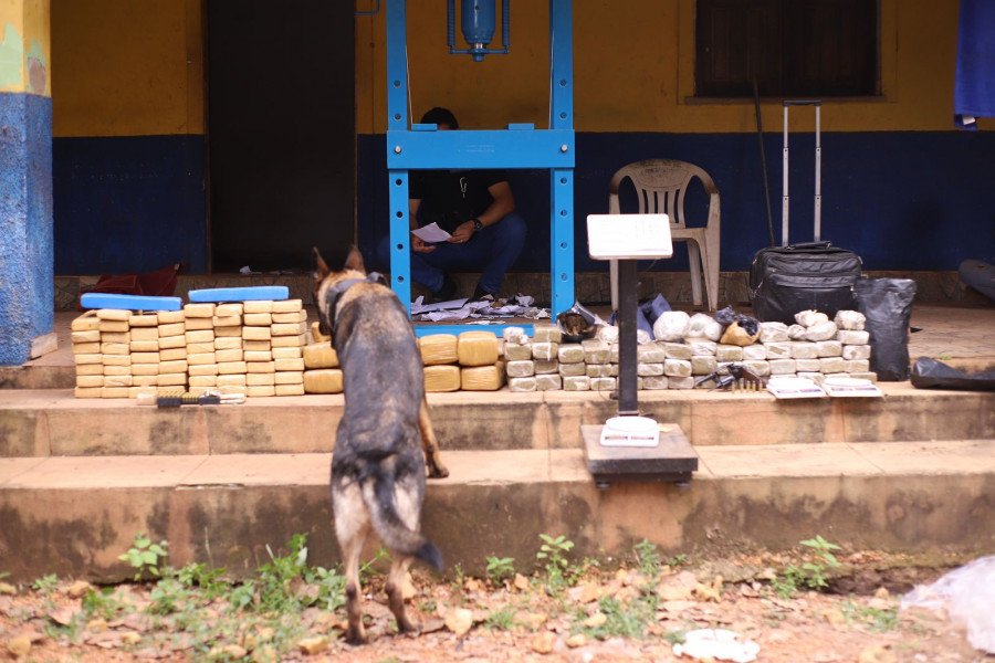 Em Timon, Secretaria de Segurança do Piauí encontra depósito de drogas e munições 