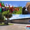 ” AGORA SÃO TODOS DA MESMA PANELA!!” Sem-terra ocupam fazenda pertencente à Embrapa Semiárido