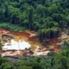 Operação contra garimpo ilegal prende cinco pessoas no Amazonas